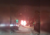 На трассе в Пушкине загорелся грузовик. Об этом сообщили читатели «МК в Питере», которые стали невольными свидетелями происшествия.