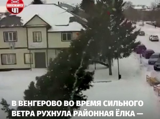 Новогоднюю елку сдуло ветром в селе под Новосибирском