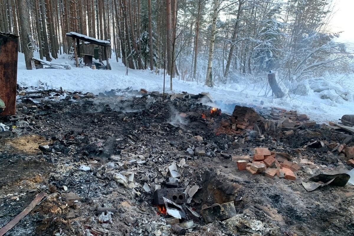 На острове в Тверской области нашли обгоревшее тело мужчины - МК Тверь