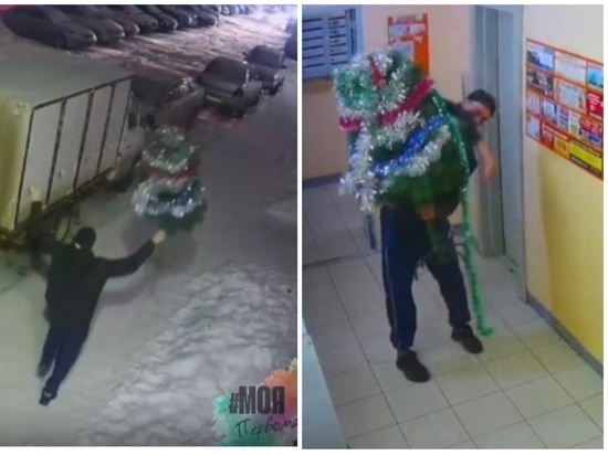 Похититель новогодней елки одумался и вернул ее на место в Новосибирске