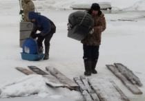 В Красноярском крае спасатели эвакуировали со льдины 58 человек