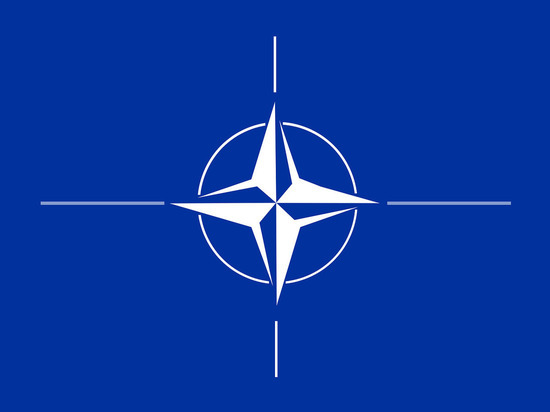 В Чехии призвали НАТО не дразнить "русского медведя"