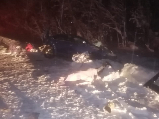 Трагедия произошла в субботу, 25 декабря, в четвёртом часу дня на дороге с Долматово на Пудож в 40 километрах от районного центра