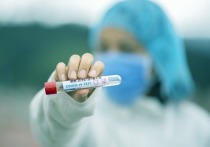 Новый 2022 год может стать переломным в борьбе с коронавирусом - такие гипотезы возникли в связи с распространением нового штамма «Омикрон», появлением новых медикаментов и расширением вакцинации