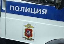 Сотрудники полиции задержали злоумышленника, который угрожал взорвать гранату в торговом центре "Метрополис" в Москве
