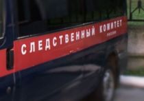 Следственные органы ГСУ Следственного комитета России по Москве организовали процессуальную проверку после гибели подростка в столице