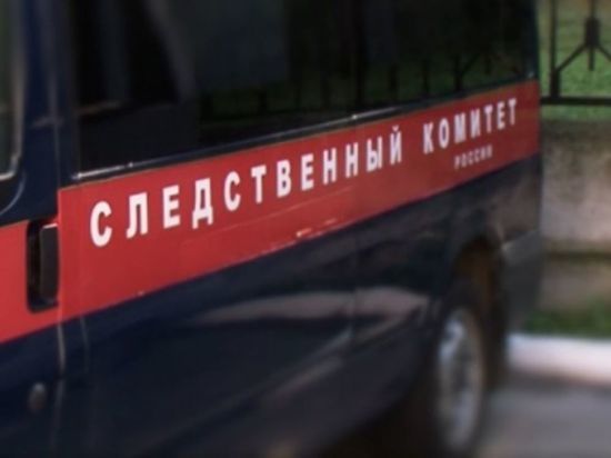СК организовал проверку после смерти подростка при спуске на тюбинге в Москве