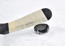 Молодежная сборная России по хоккею уступила команде Швеции в первом матче на групповом этапе молодежного чемпионата мира, который проходит в Канаде