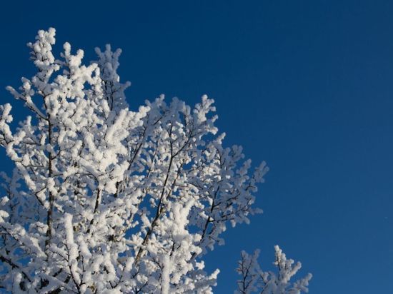 Петербуржцев предупредили о крепких морозах и гололедице 27 декабря