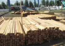 Жителя Бурятии суд Октябрьского района Улан-Удэ приговорил к четырем годам лишения свободы условно за контрабанду древесины в особо крупных размерах