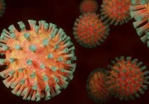 Медики за последние сутки выявили коронавирус ещё у 171 жителя Забайкальского края