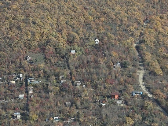 В 2021 году в лесах Кубани ликвидировали 123 незаконных объекта