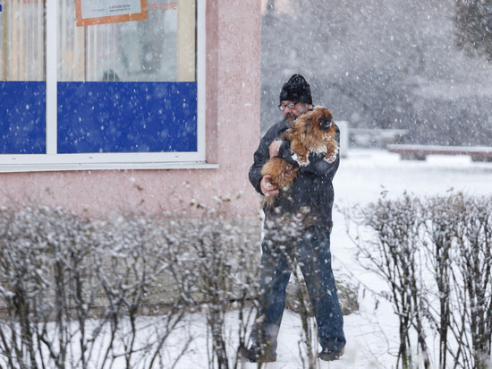 До минус 22 градусов опустится температура в Псковской области 28 декабря