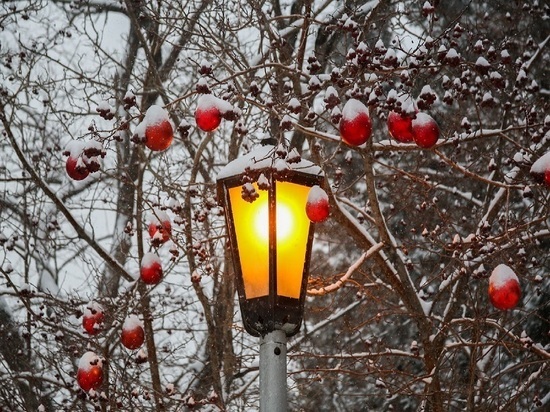 Потепление до -10 градусов и небольшой снег – погода в Красноярске 28 декабря