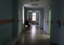 Сокращение штата среднего медицинского звена и большая доля сотрудников пенсионного возраста среди медработников стали основными проблемами в здравоохранении ДНР, сообщили в Минздраве республики