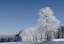 Во вторник, 28 декабря, в Белгородской области ожидается сильное похолодание