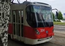 Донецкие коллекционеры наверняка с самого утра будут атаковать киоски предварительной продажи билетов на трамваи и троллейбусы