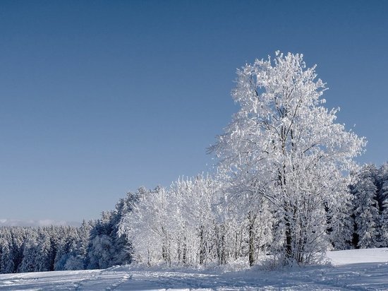 Ночью 28 декабря в Белгородской области будет до 23 градусов мороза