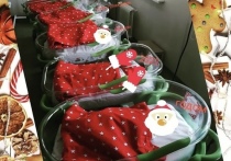 В Улан-Удэ новорожденных Республиканского перинатального центра нарядили в костюмчики Дедов Морозов
