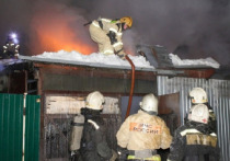 В селе Благовещенка ночью 28 декабря произошел пожар в частном доме