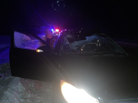 Отлетевшее колесо убило пассажира машины на трассе Екатеринбург – Курган