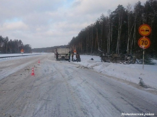 Из-за упавшей на дорогу елки погиб пассажир «Газели» в Марий Эл