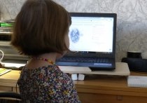 Карельский Уполномоченный по правам ребенка Геннадий Сараев открыто предлагает родителям заставить своих детей закрыть от посторонних личные страницы в социальных сетях