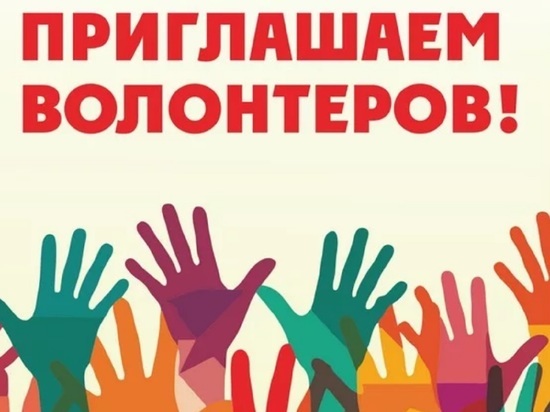 Ярославцев приглашают в волонтеры на Чемпионат Мира