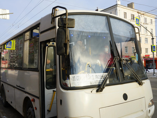 В Тамбове контролировать соблюдение антиковидных мер будут и на новогодних каникулах
