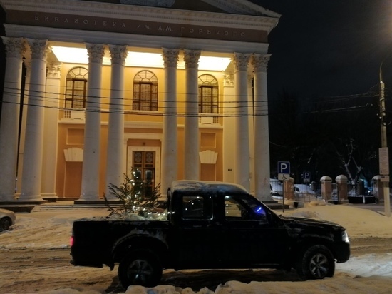 Тверской автомобилист насыпал в фургон снег и поставил в него ёлку с гирляндой