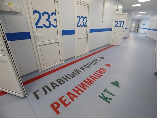 В Челябинской области за сутки от ковидной пневмонии умерли 27 человек