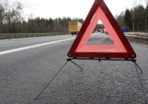 Утром 28 декабря водитель Niva Travel врезался в стоящий на трассе «Чита-Хабаровск» тягач DAF в Могочинском районе