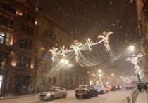 Морозные декабрьские дни подходят к концу — в Петербург придет потепление, рассказали синоптики.