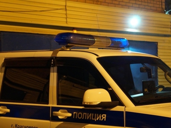 Полиция задержала подозреваемого в насилии над ребенком в Сосновоборске Красноярского края
