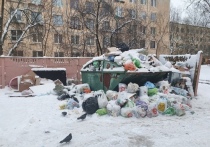 За несколько дней до Нового года, когда, по идее, должна преобладать радостная атмосфера, в некоторых районах Петербурга преобладает мусорная