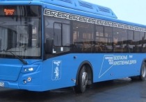 Белгородская единая транспортная компания обнародовала расписание общественного транспорта в новогодние праздники