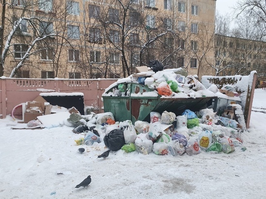 Петербуржцы остались недовольны «новогодним настроением» Смольного из-за очередных гор мусора
