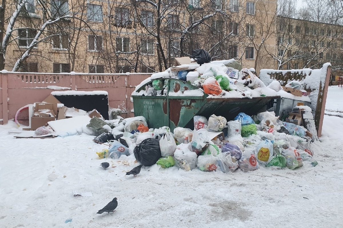 свалка в санкт петербурге