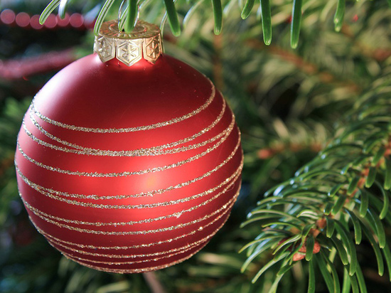 Российских военных в Сирии обеспечили новогодними елями