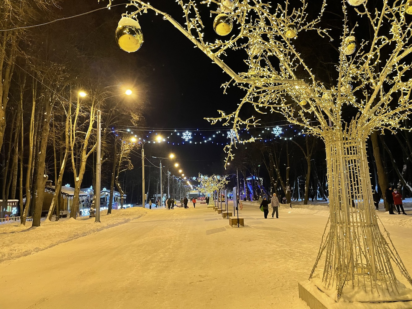 Территория праздника в Рязани: кадры новогоднего Лесопарка 