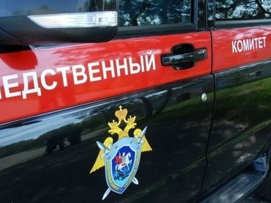 19-летний ижевчанин задохнулся выхлопными газами у себя в гараже