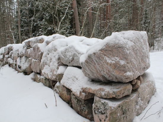 Камни покрылись снежной глазурью в Монрепо