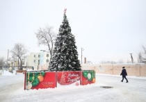 Сегодня, 29 декабря, Волгоградскую область накрыли сильные снегопады при порывах ветра до 19 м/с