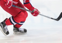 Экс-президент Международной федерации хоккея Рене Фазель сообщил, что в данный момент обсуждается дальнейшая судьба молодежного ЧМ в Канаде, в рамках которого ранее были отменены ряд матчей