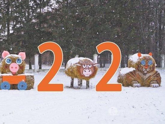 В Курской области возле трассы заметили большого соломенного тигра