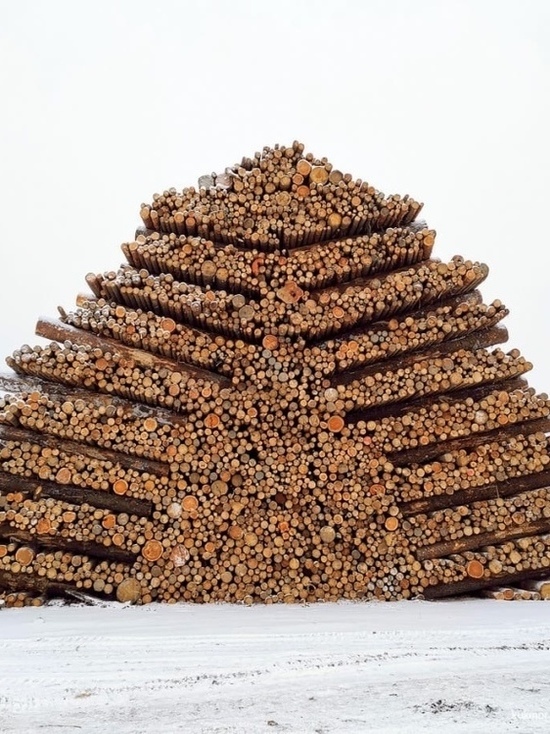 Время удивлять: елку из бревен установили в Карелии