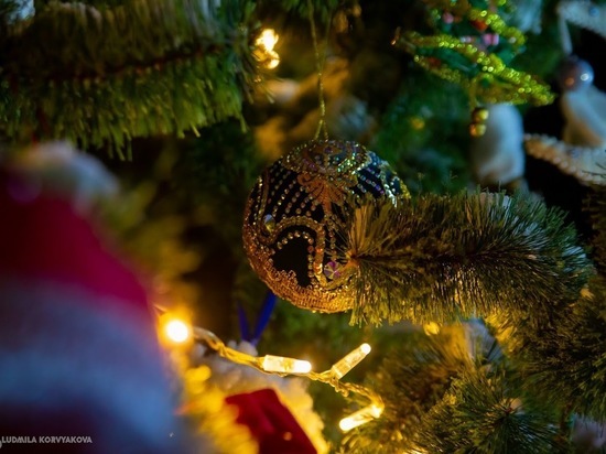 К Новому году: елки из Карелии доставили в Сирию