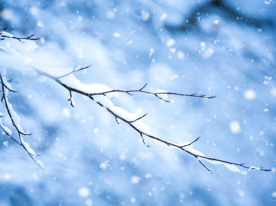 Петербуржцев предупредили о гололедице и небольшом снегопаде 30 декабря