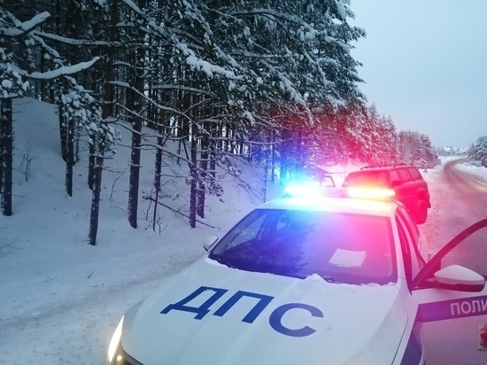 Несколько водителей в Карелии могут встретить Новый год без прав
