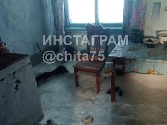 «Несуществующий» дом затопило грунтовыми водами в Аксеново-Зилово